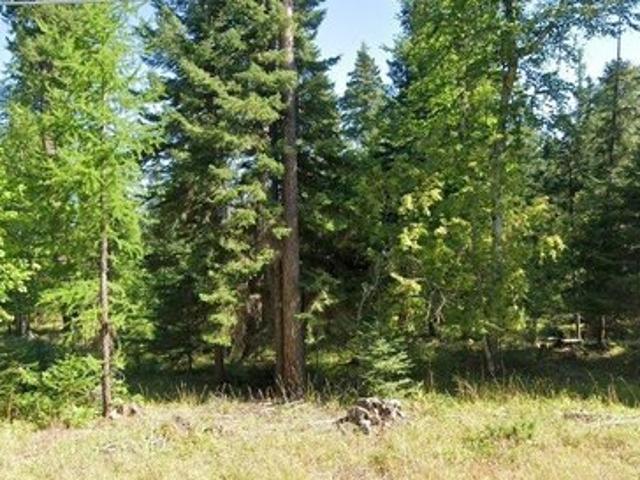 Land for sale in Bigfork