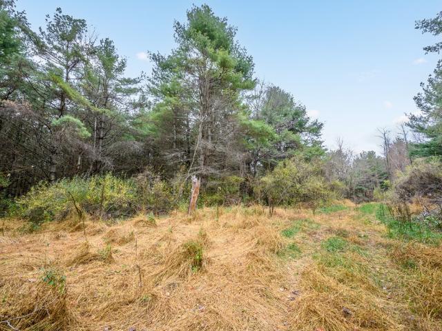 Land for sale in Virginia