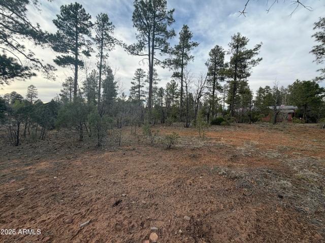 Land for sale in Navajo, Arizona