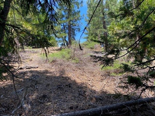 Land for sale in Portola, California