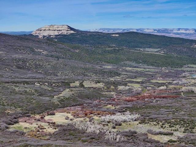 Farm for sale in Mesa, Arizona