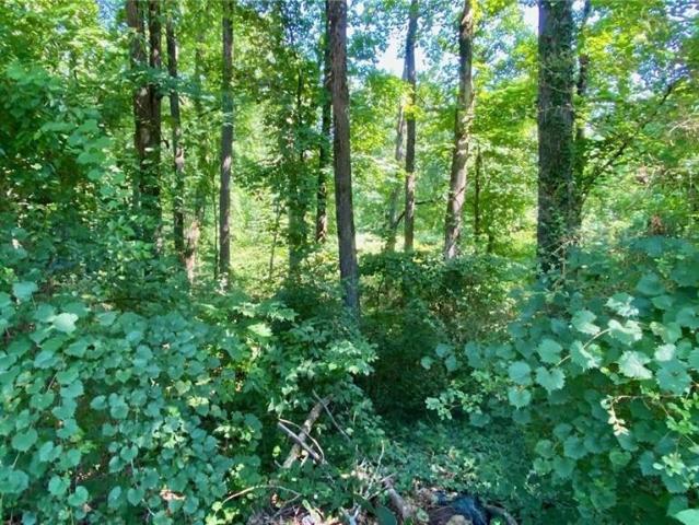 Land for sale in Redan, Georgia