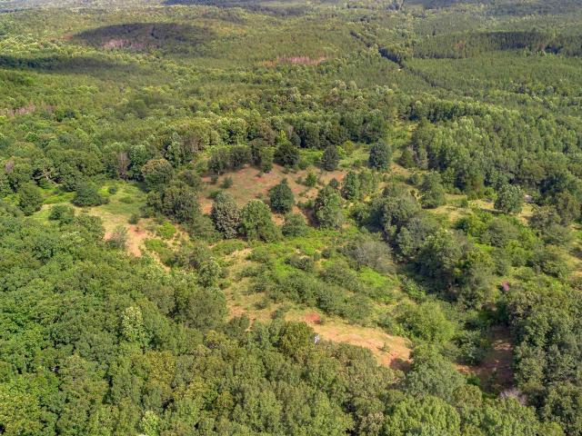 Land for sale in Heflin, Alabama