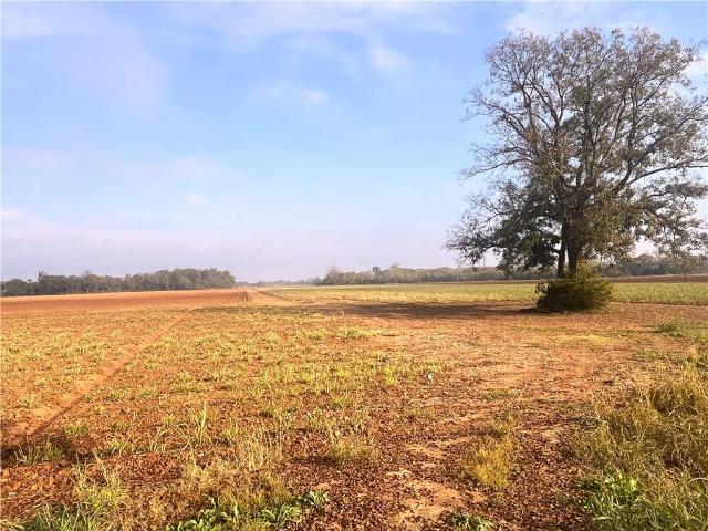 Land for sale in Evergreen, Louisiana