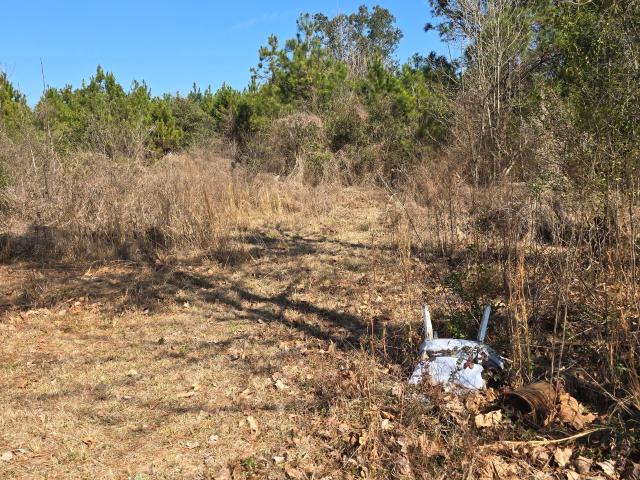 Land for sale in Brooklet, Georgia