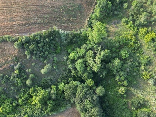 Yukarı Demirci, Biga içerisinde satılık Arsa