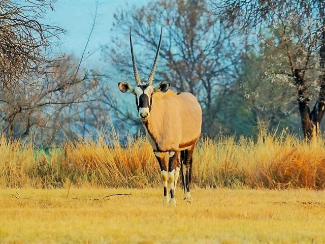Land for sale in North West