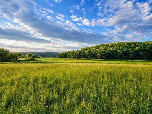 Land for sale in Luana, Iowa