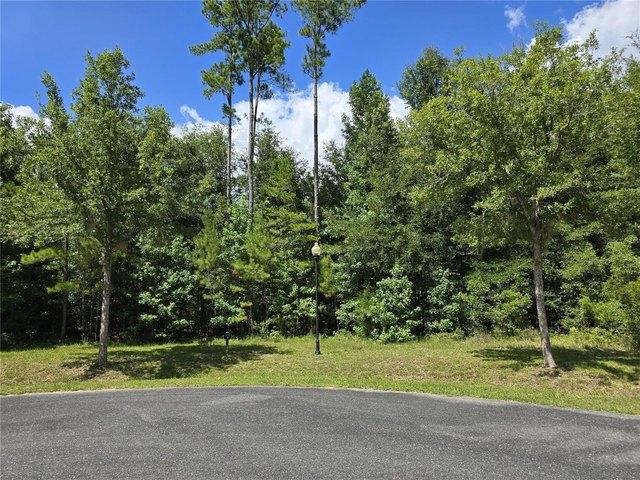 Land for sale in Gainesville, Florida