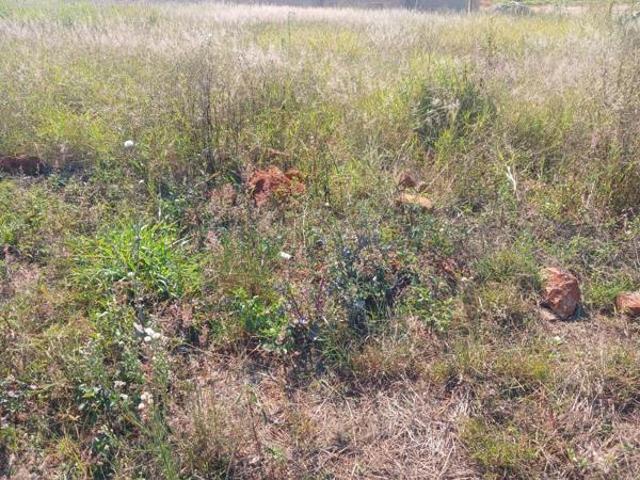 Land for sale in Mopani, Limpopo