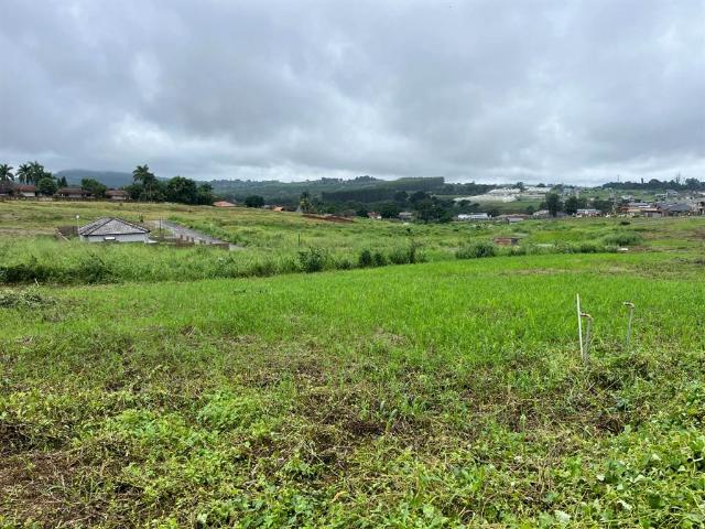 Land for sale in Mopani, Limpopo