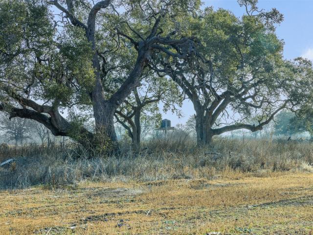 Land for sale in Martindale, Caldwell County