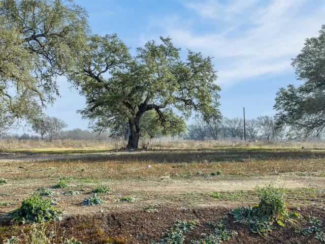 Land for sale in Martindale, Texas