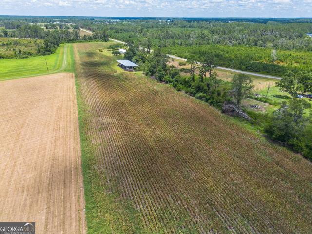 Land for sale in Alma, Georgia