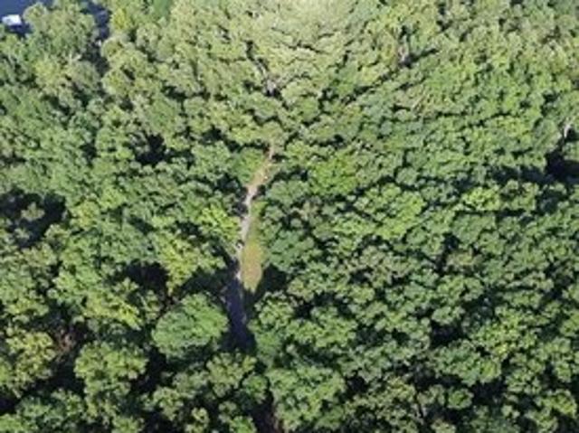 Land for sale in Ark