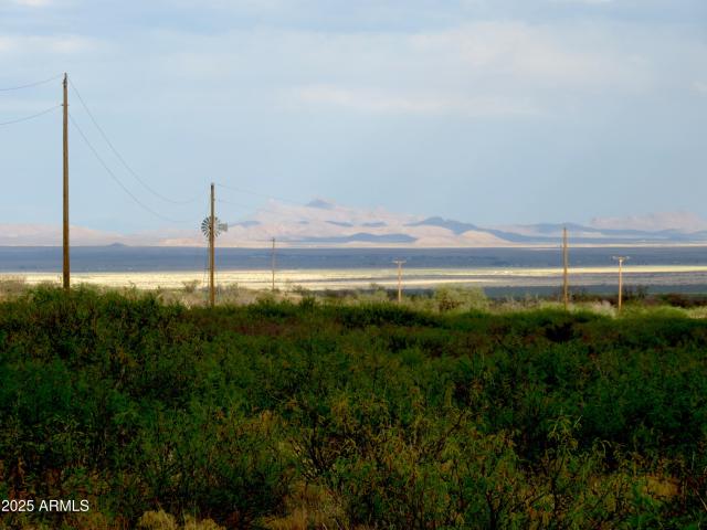 Land for sale in Elfrida