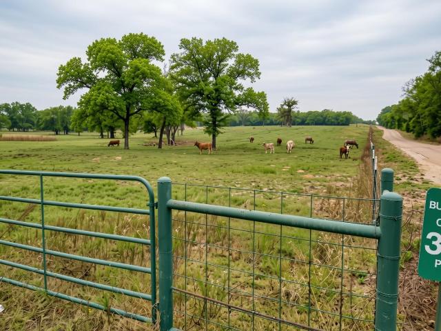 Land for sale in Caldwell, Texas