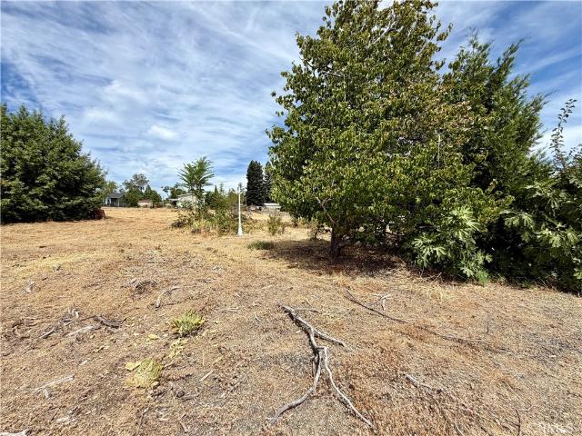 Land for sale in Butte, California
