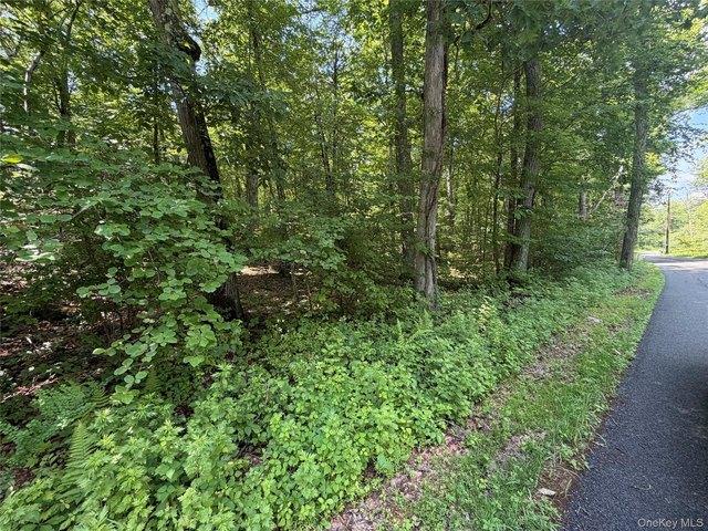 Land for sale in Cold Spring, New York