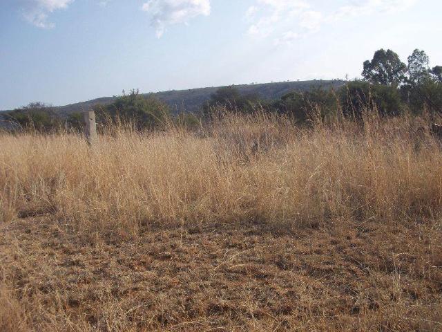 Farm for sale in Mpumalanga