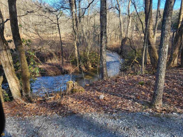 Land for sale in Georgia