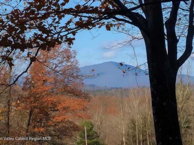 Land for sale in Cottekill, New York