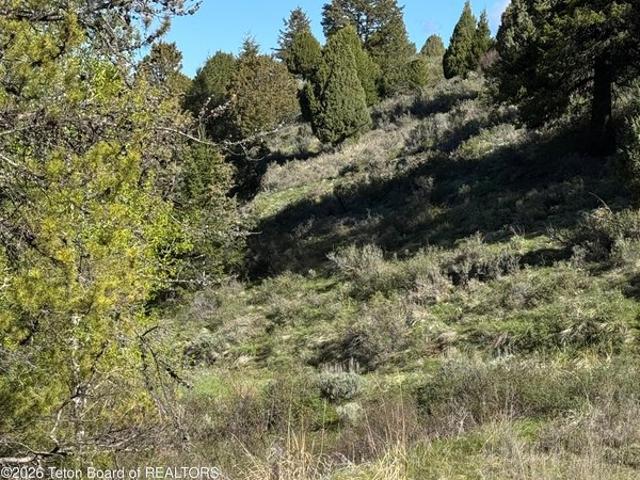 Land for sale in Irwin, Idaho