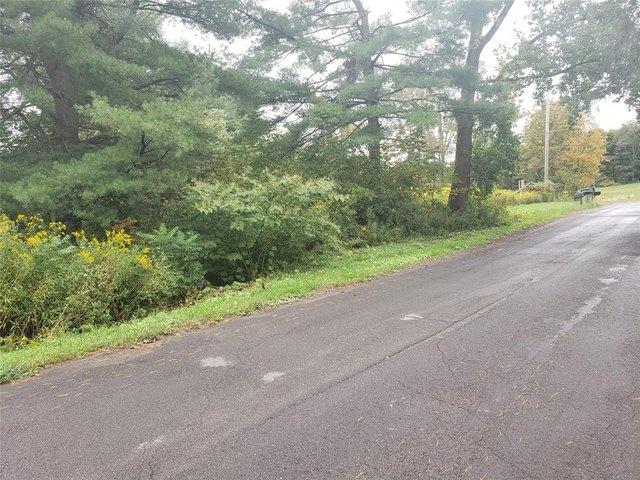Land for sale in Vestal, New York