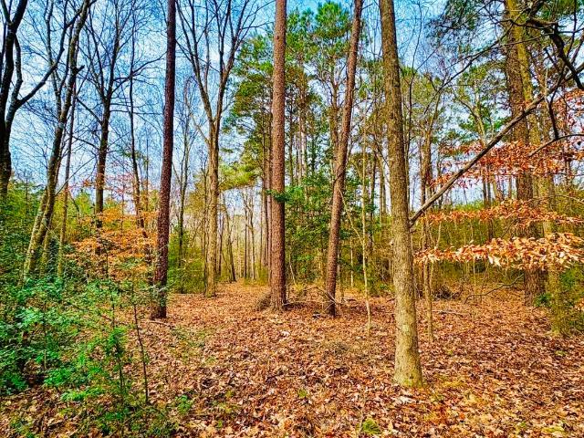 Land for sale in Shelby, Texas