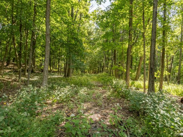 Land for sale in Village of Millbrook, Dutchess County