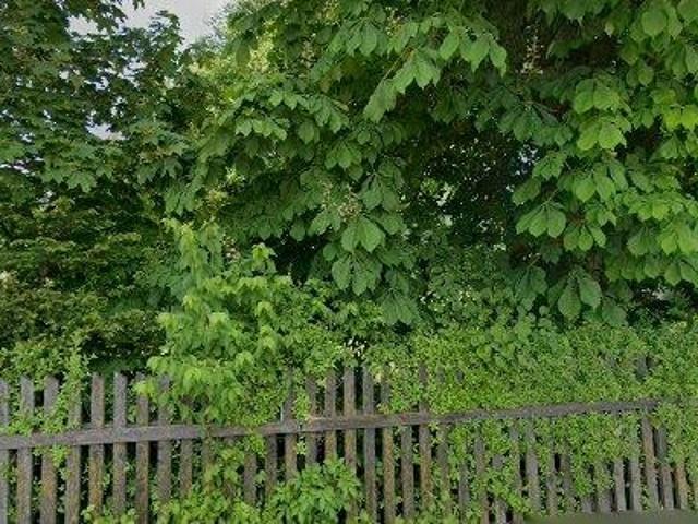 Apartment mieten in Oberndorf bei Schwanenstadt, Bezirk Vöcklabruck