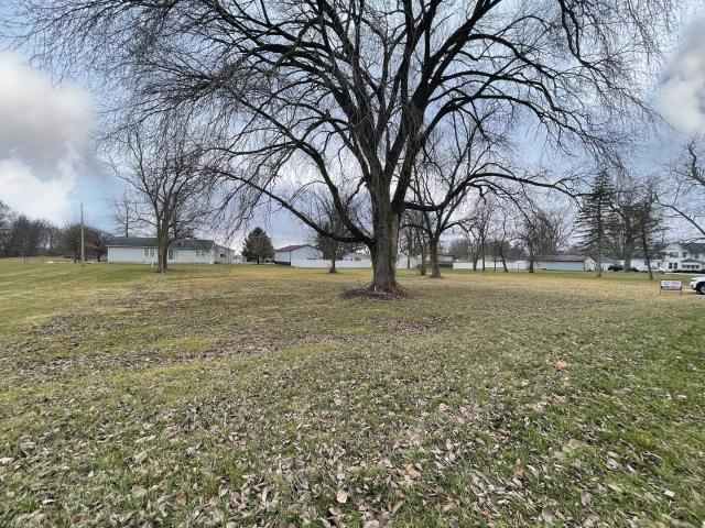 Land for sale in Saunemin, Illinois