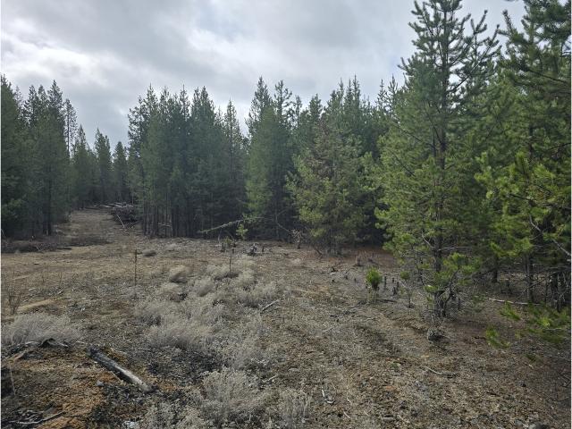Land for sale in Oregonia