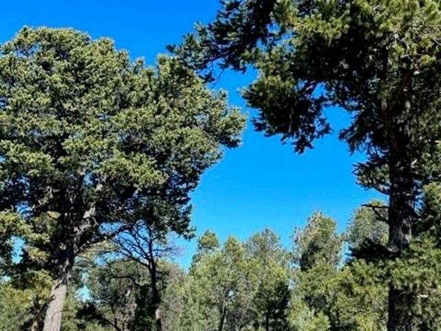 Land for sale in Pecos, New Mexico