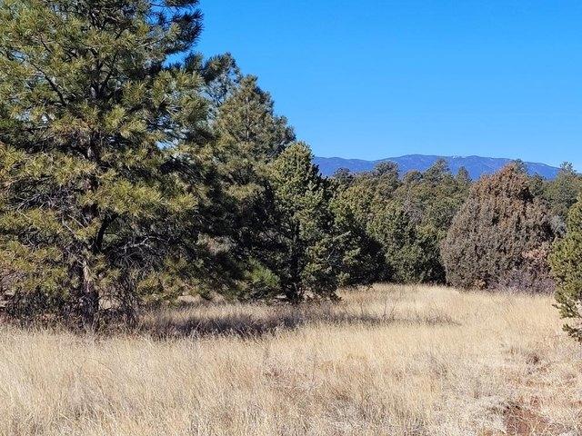 Land for sale in Pecos, San Miguel County