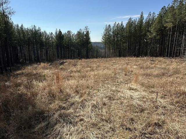 Land for sale in Tennessee