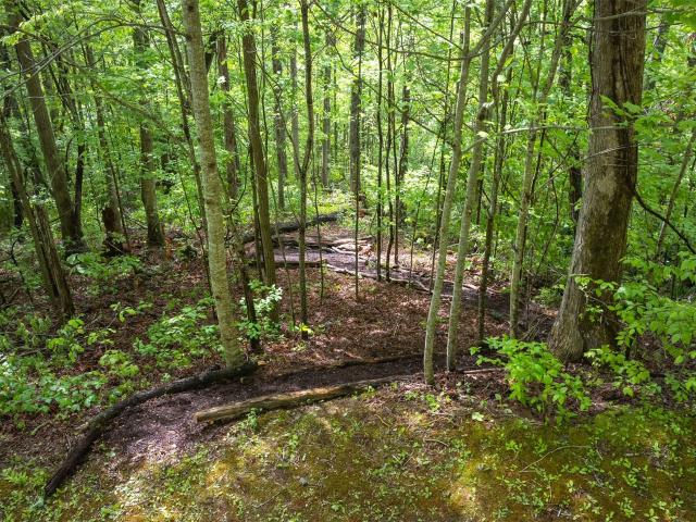 Land for sale in Cullowhee, North Carolina