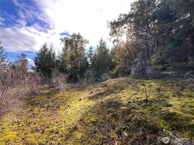 Land for sale in Washington