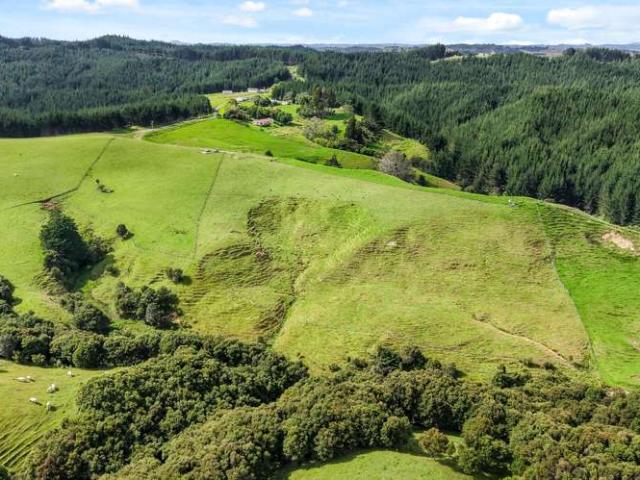 Land for sale in Puhoi