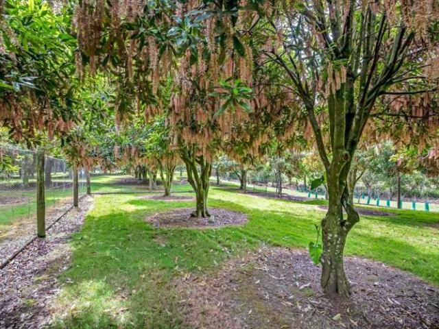 Property for sale in Kerikeri, Bay of Islands