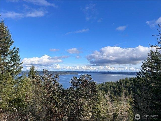 Land for sale in Brinnon, Washington