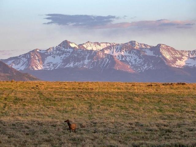 Land for sale in Colorado