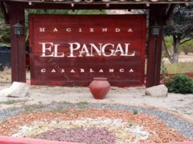 Casa en arriendo en Casablanca, Valparaíso