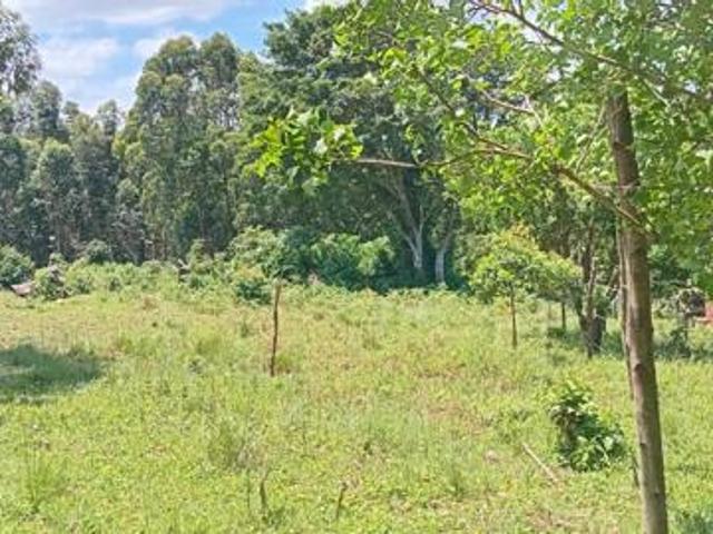 Property for sale in UMhlathuze Municipality, Kwazulu-natal