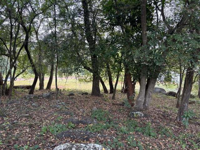 Property for sale in Mopani, Limpopo