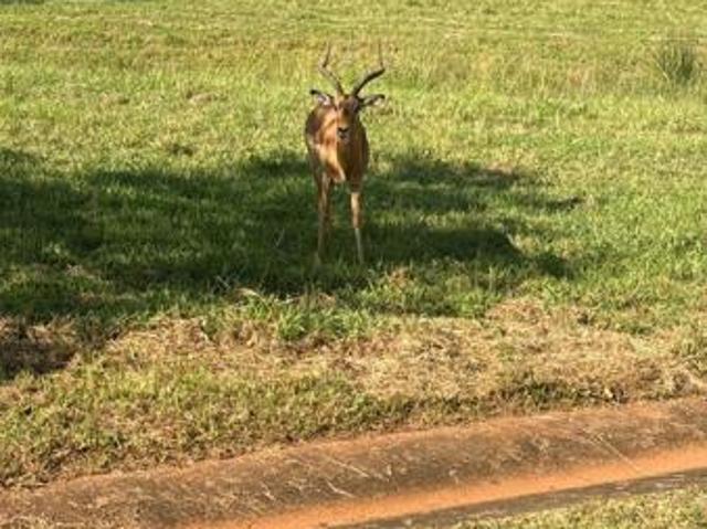 Property for sale in Tzaneen, Greater Tzaneen Local Municipality