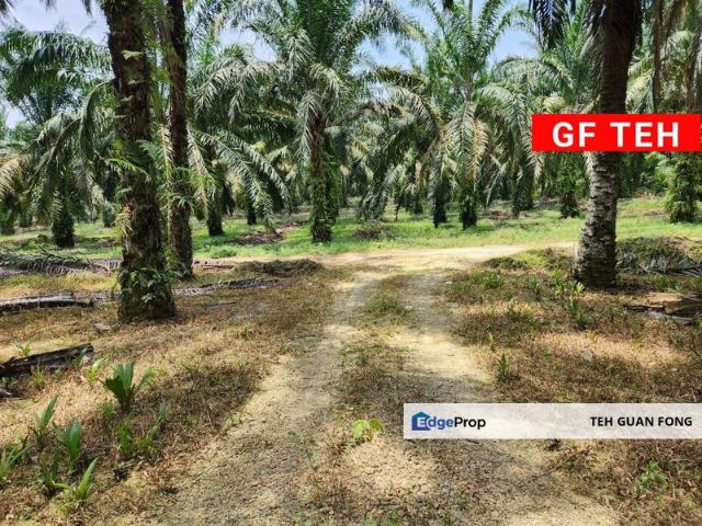 Shop for sale in Perak, Selama