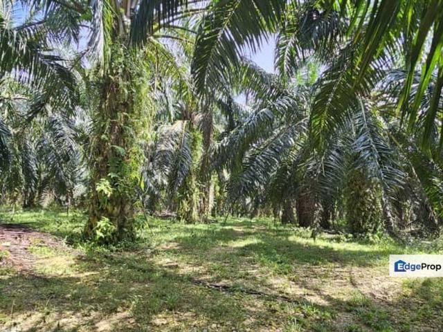 Shop for sale in Perak, Chenderong Balai
