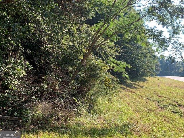 Land for sale in Toccoa, Georgia