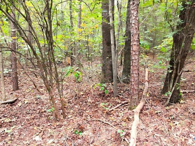 Land for sale in Attalla, Etowah County